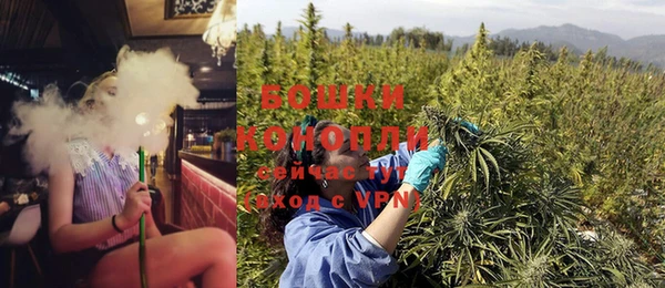 шишки Новокубанск
