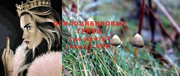 винт Новодвинск