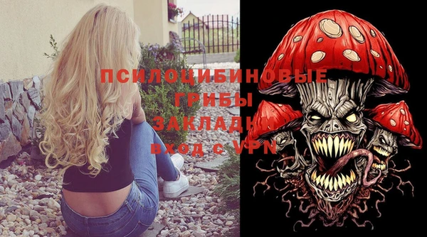дмт Армянск
