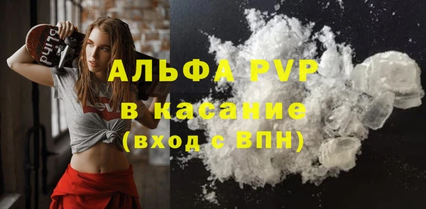 стафф Новозыбков