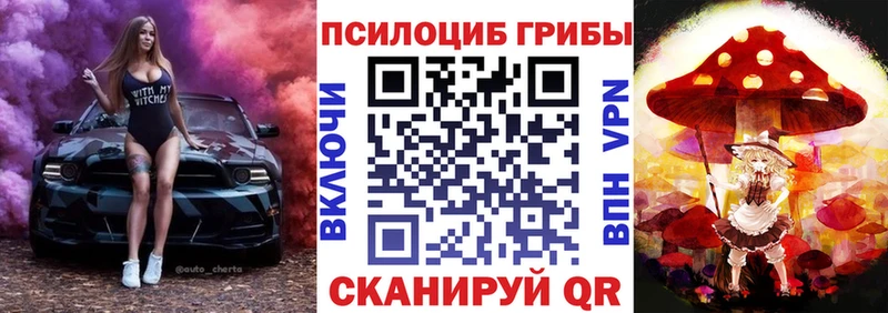 Галлюциногенные грибы Psilocybe  Нижний Ломов 